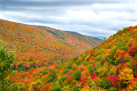 Indian Summer - Aspy Fault