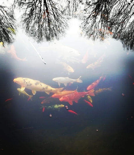 Als lucht en water samenvloeien