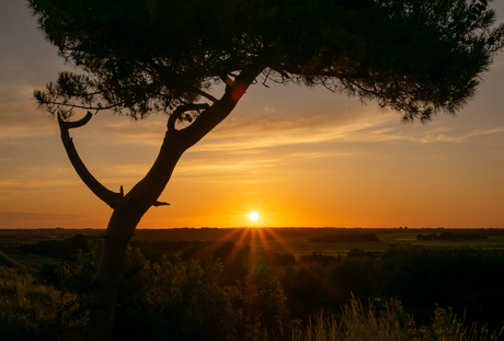 zonsopkomst op Terschelling