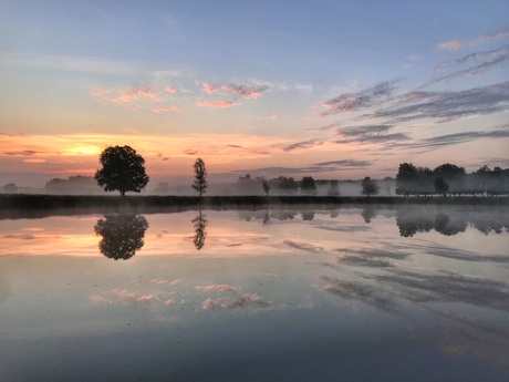 Misty morning 