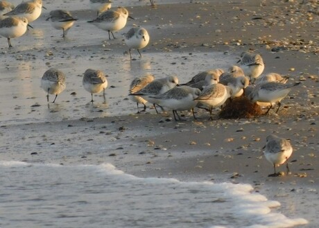 ‘t-hebbuh-jullie-daro…la-me-is-kijkuh