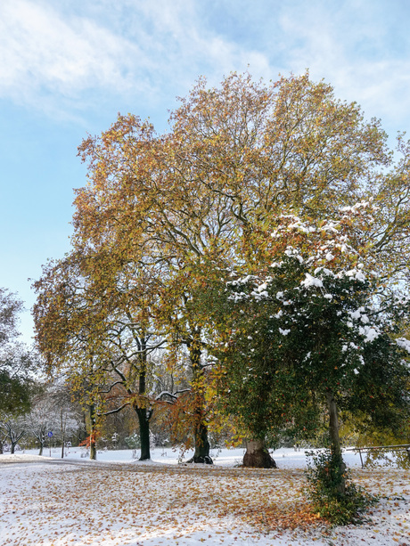 Warme winter sferen