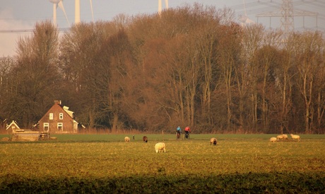 De warmte...............