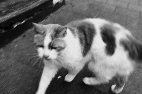 1e dag van fotografie (09-10-2025)