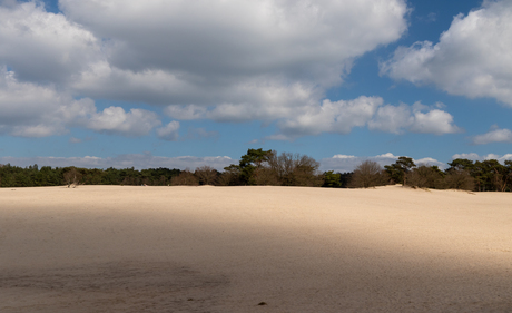Soesterduinen