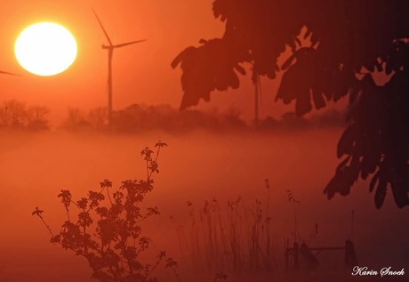 "The beauty of nature..."