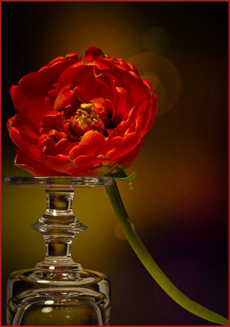 bloem en vaasje.........................