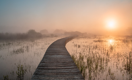 Misty morning