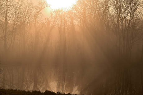 De zonnige kant van mist....
