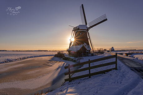 Stralende zon op deze winterse dag! 