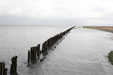 Hoogwater op het Wad