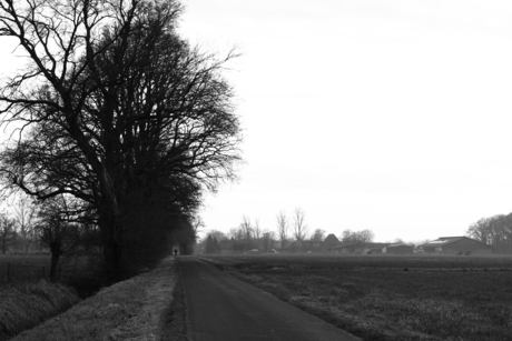 Op een landweg