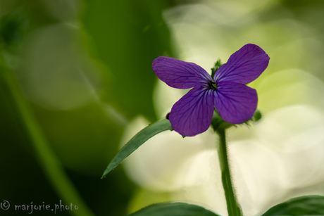 Time Spent In Nature Is Never A Waste Of Time.