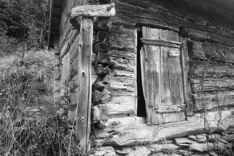 Honderden jaren out hout