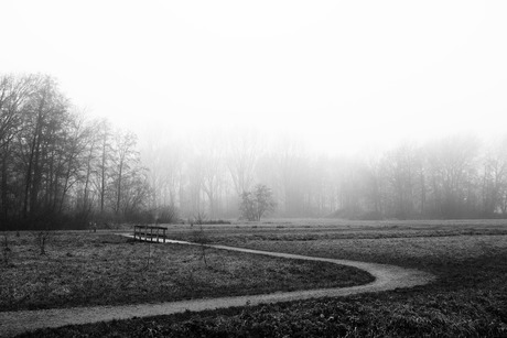 Mist in de Goudse Hout 2