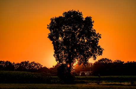 Zonsondergang tussen Roosendaal en Nispen