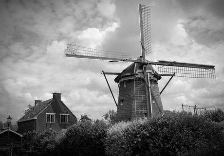 Den Haag in 100 foto's