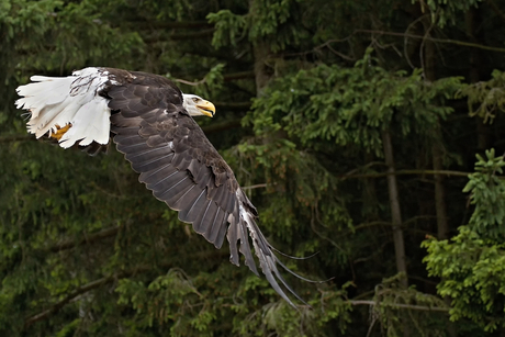 Hoog in de lucht