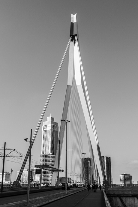 De Zwaan
