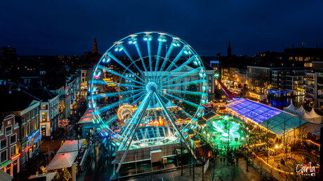 blauwuurtje in Groningen