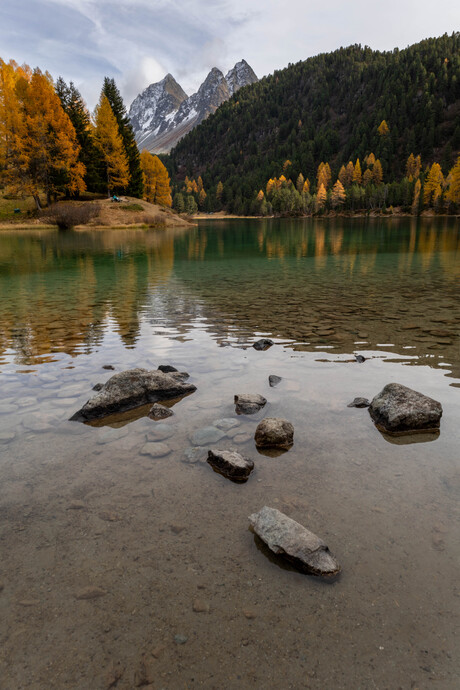 Bergmeertje in de herfst