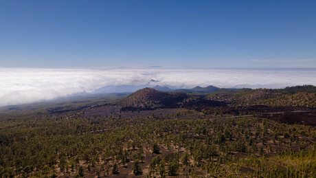 Tenerife