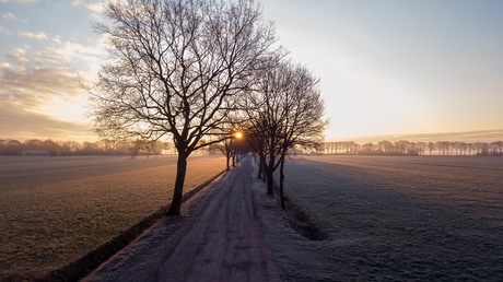 De zon piept door de bomen