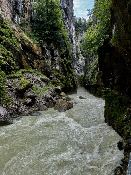 Wild river of Aareschlucht 