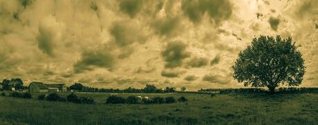 160516-pano1-achtertuin-rechts-2