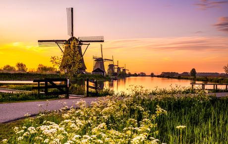 Lentegevoel