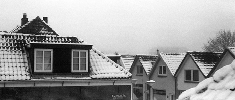 Panorama besneeuwde daken