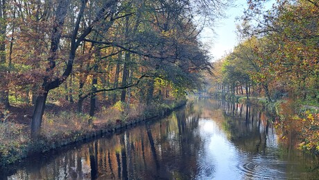 Herfstig eindhovens kanaal