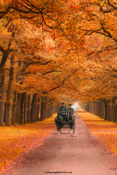 Koningslaan te kroondomein het loo