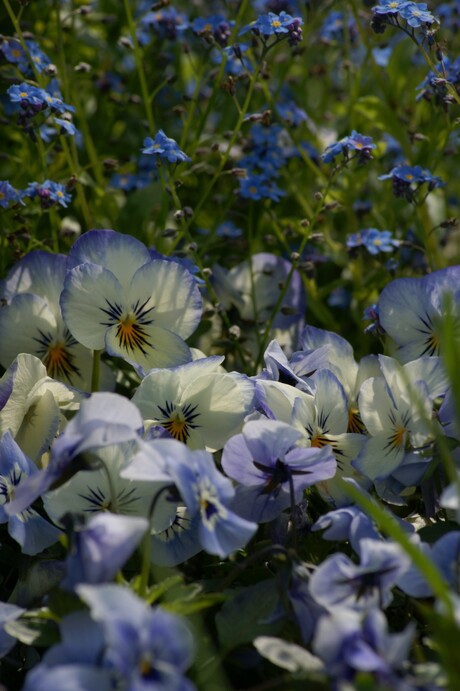 zomers gevoel