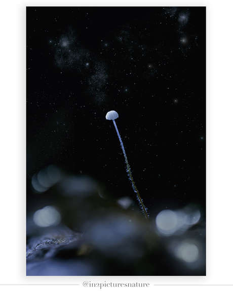Lost in space