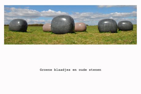 Groene blaadjes en oude stenen