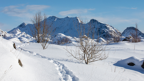 Winters Lofoten en Vesterålen