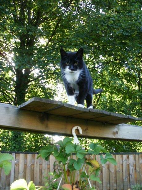 Silly op haar uitkijkpost