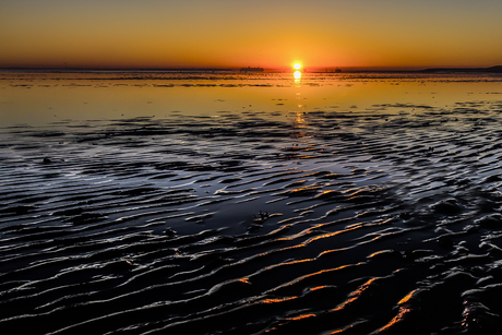 Langs de Westerschelde