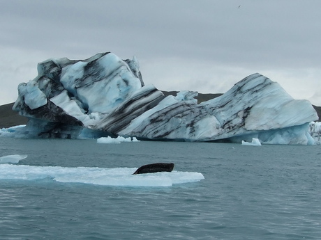 Jökulsárlón, ijsbergenmeer in IJsland