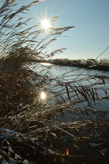 Vliet in wintersfeer