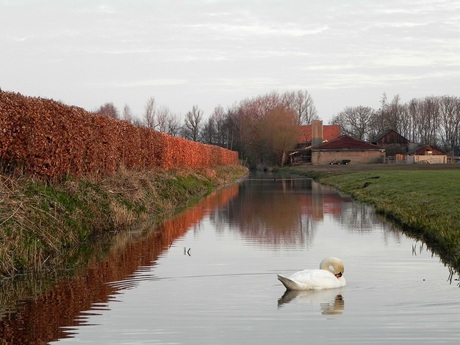 polder