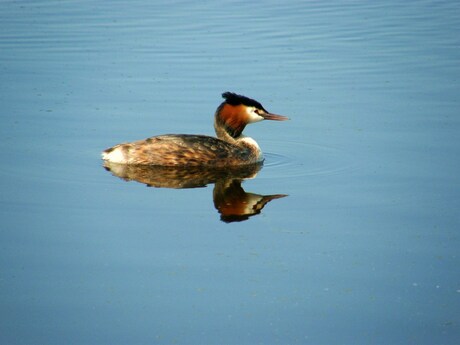 spiegelbeeld