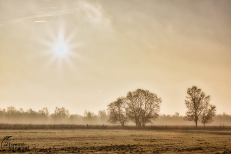 Ochtend in het veen