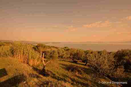 Trasimenomeer