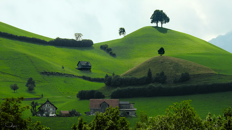 Glooiend landschap in  Zwitserland