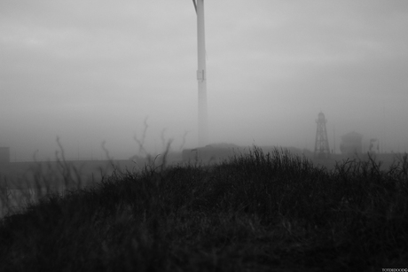 Monolith in the mist.