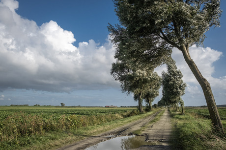 Schouws landschap