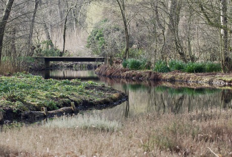 Natuur in het park