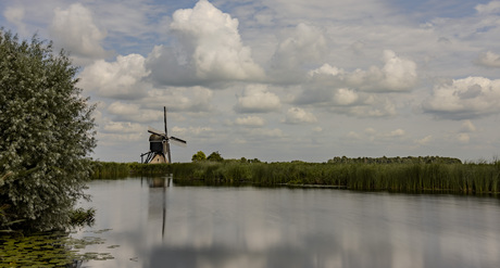 Molen